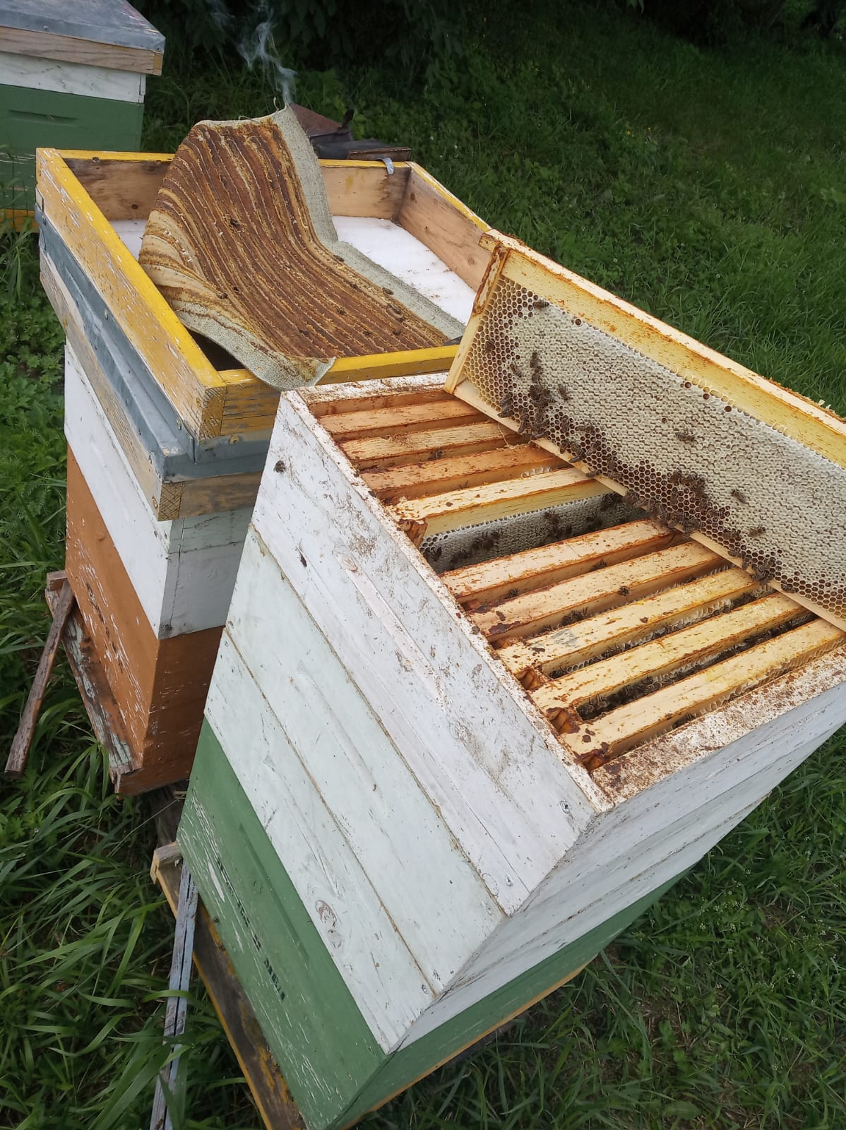 Honey processing